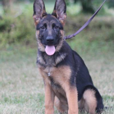 chanel-4-mo-jpg_original
