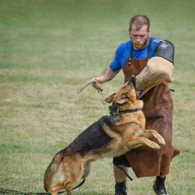 gabe-protection-training_original